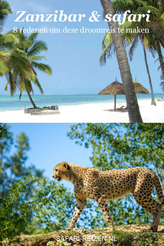 Zanzibar en safari