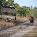 groepsreizen safari afrika