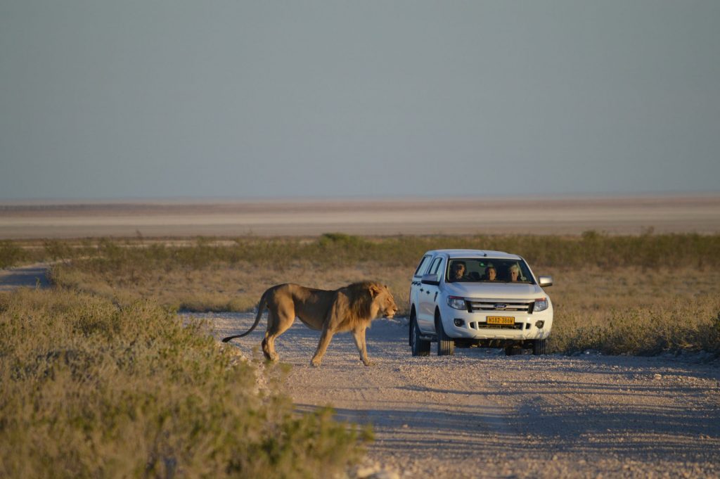 Selfdrive Namibie 4x4 auto huren