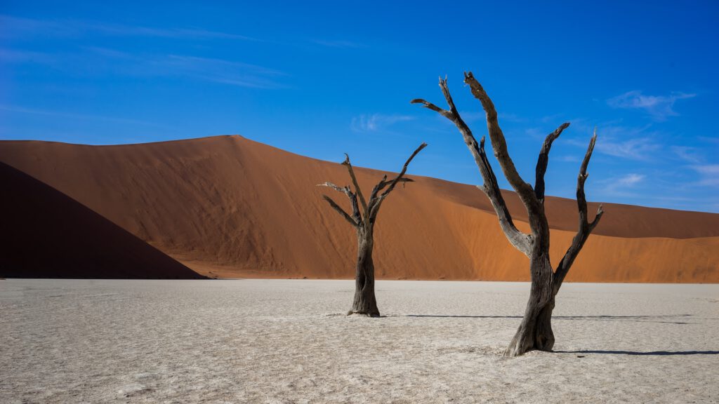 Sossusvlei Deadvlei Namibië